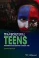 Transcultural Teens: Performing Youth Identities in French Cit&eacute;s