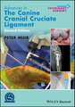 Advances in the Canine Cranial Cruciate Ligament