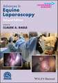 Advances in Equine Laparoscopy