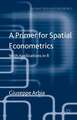 A Primer for Spatial Econometrics: With Applications in R