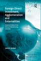 Foreign Direct Investment, Agglomeration and Externalities: Empirical Evidence from Mexican Manufacturing Industries