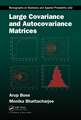 Large Covariance and Autocovariance Matrices