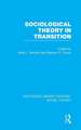 Sociological Theory in Transition (RLE Social Theory)