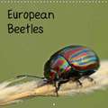 European Beetles (Wall Calendar 2018 300 × 300 mm Square)