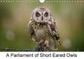 A Parliament of Short Eared Owls (Wall Calendar 2018 DIN A4 Landscape)