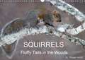 SQUIRRELS / UK-Version (Wall Calendar 2020 DIN A3 Landscape)