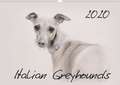 Italian Greyhounds 2020 (Wall Calendar 2020 DIN A3 Landscape)