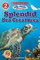 Splendid Sea Creatures