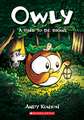 A Time to Be Brave: A Graphic Novel (Owly #4)