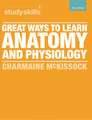 Great Ways to Learn Anatomy and Physiology