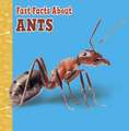 Fast Facts About Ants