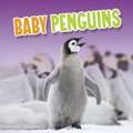 Baby Penguins