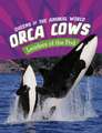 Jaycox, J: Orca Cows