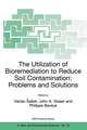 The Utilization of Bioremediation to Reduce Soil Contamination: Problems and Solutions