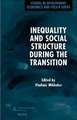 Inequality and Social Structure During the Transition