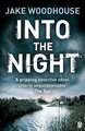 Into the Night: Inspector Rykel Book 2