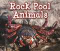 Rock Pool Animals