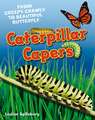 Caterpillar Capers: Age 5-6, above average readers