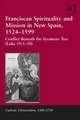 Franciscan Spirituality and Mission in New Spain, 1524-1599: Conflict Beneath the Sycamore Tree (Luke 19:1-10)