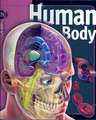 Human Body