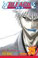 Bleach, Volume 25