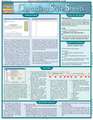 Cascading Style Sheets Laminated Reference Chart