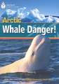 Arctic Whale Danger!