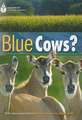 Blue Cows?