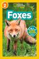 Foxes (National Geographic Kids Readers, Level 2)