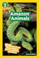 Amazon Animals (National Geographic Kids Readers, Level 3)