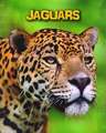 Jaguars