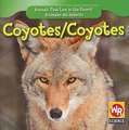 Coyotes