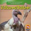 Vultures/Buitres