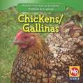 Chickens/Gallinas