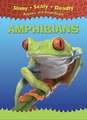 Amphibians