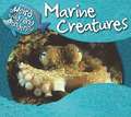 Marine Creatures