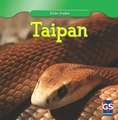 Taipan