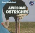 Awesome Ostriches