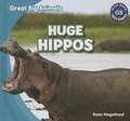 Huge Hippos