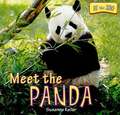 Meet the Panda