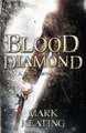 Blood Diamond: A Pirate Devlin Novel