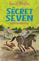 Secret Seven: Secret Seven Mystery