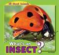 What's an Insect?: From War to Peace?