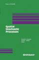 Spatial Stochastic Processes