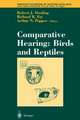 Comparative Hearing: Birds and Reptiles