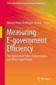 Measuring E-government Efficiency: The Opinions of Public Administrators and Other Stakeholders