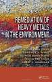 Remediation of Heavy Metals in the Environment