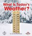 What Is Today's Weather?