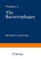 The Bacteriophages: Volume 1