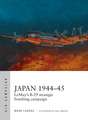 Japan 1944–45: LeMay’s B-29 strategic bombing campaign